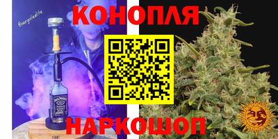 гидра Татарск